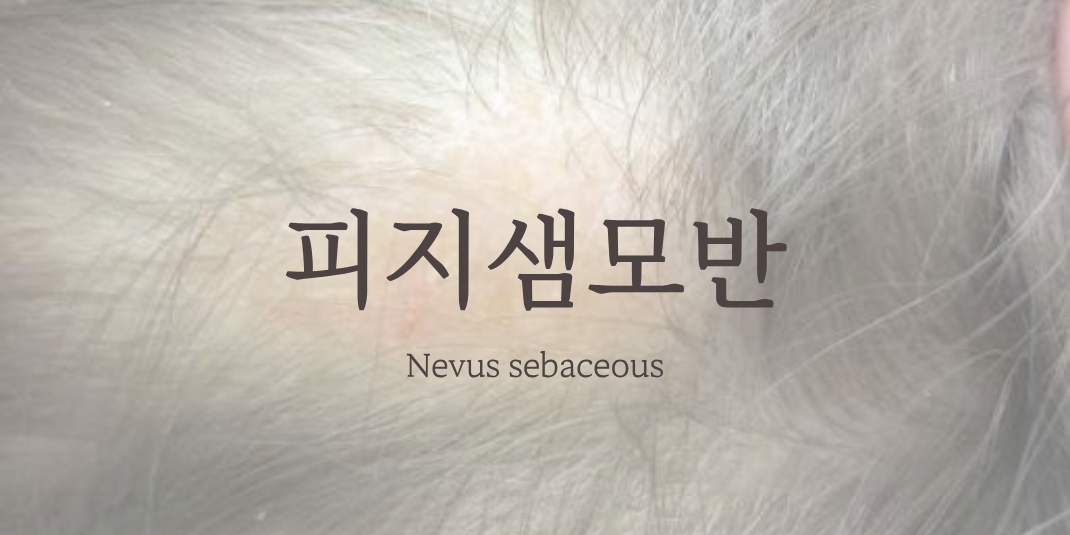 d40887a5108a1882811944fab0bdaeee_1788769880_7649.png